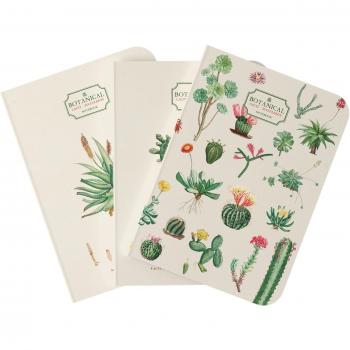 Grupo Erik Pack cuadernos A5 Botanical Cacti