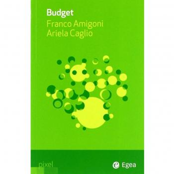 Budget