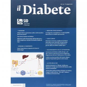 Il diabete (2017) (Vol. 29)