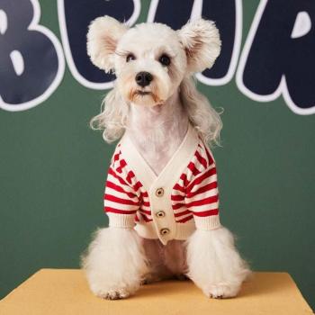 Suéter de peluche para bichones