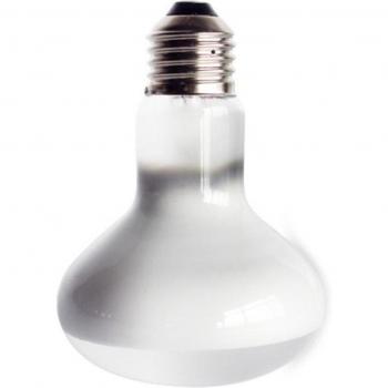 220V UVA+UVB Lamp for Amphibians
