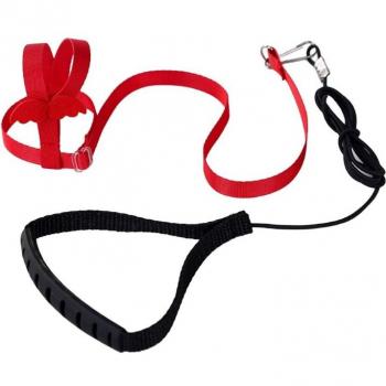 Parrot Ultralight Training Leash