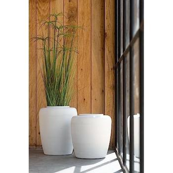 Cyperus Alternifolius 5 Têtes : Plante Artificielle de 1 m – Vert