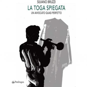 La toga spiegata. Un avvocato quasi perfetto