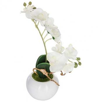 Ceramica Fiorita – Orchidea