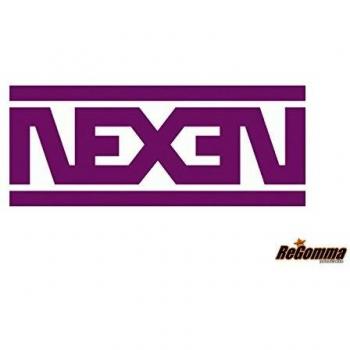 Nexen Winguard WinSpike (225/70 R15C 112/110R 8PR, SUV, naastudega)