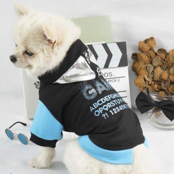 Pull pour petits chiens