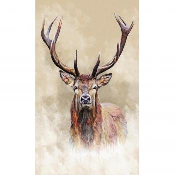 Wandbild REINDERS Hirsch Bilder Gr. B/H: 70cm x 118cm, Hochformat, braun (natur, braun)