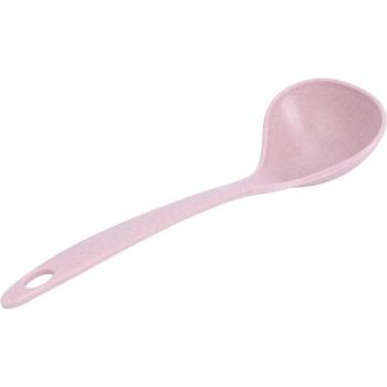 Cooking Tool Spoon