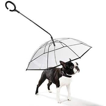 Protection contre la pluie et la neige – Parapluie transparent pliable pour chien