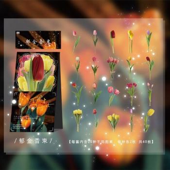 Album Recorte Flores Impermeable