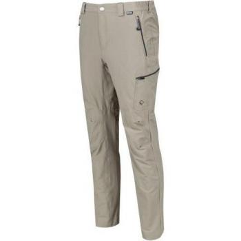 Regatta 30R Uomo Pantaloni Trekking Idrone Grigio