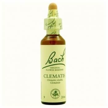 BACH (09) FLORES DE BACH CLEMATIS 20ml