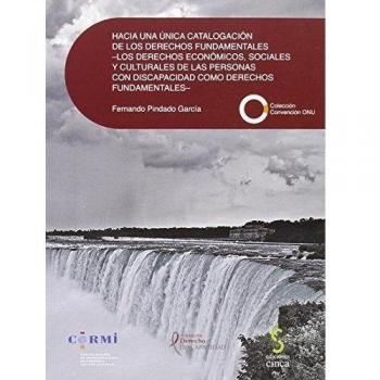 Hacia una única catalogación de los derechos fundamentales. Los derechos económicos, sociales y culturales de las personas con discapacidad