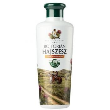 Bojtorjan Head Refresh – Banfi Shampoo 250 ml
