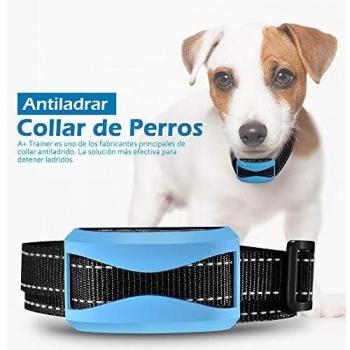 TrénerDog Collar Impermeable con Correa Ajustable