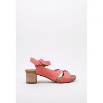 SANDRA 39 Citrus Avie