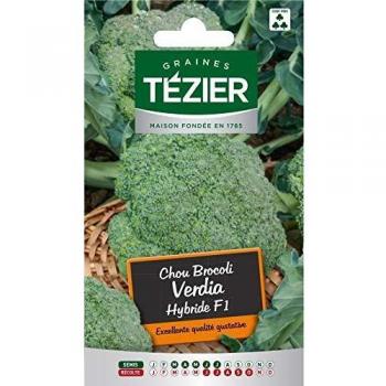 Tezier Verdia – Duo Croquant : Chou & Brocoli