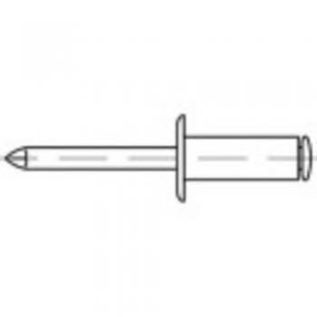 Rivetti a strappo 4x10 mm Alluminio Acciaio 500 pz