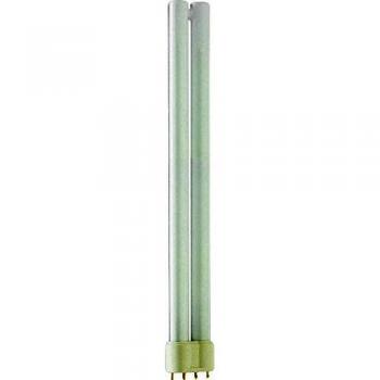 Philips PL-L Lampadina a Luce Bianca Calda