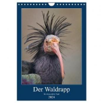 Der Waldrapp
