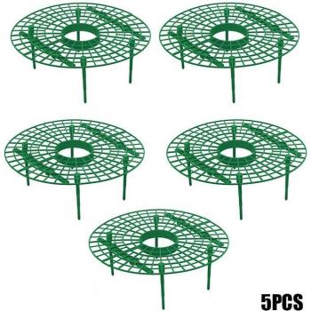 Plant Climbing Vines Support Stand