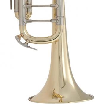 Bach 18037 2022 Edition