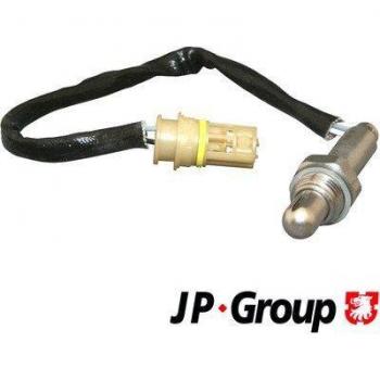 Sonda di Ossidazione JP 1493800100