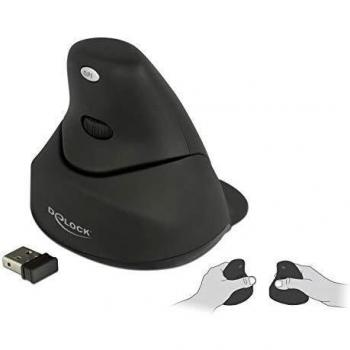 DeLock Vertikale Ergonomische Maus 2,4 GHz