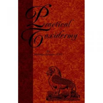 Browne, Montagu: Practical Taxidermy