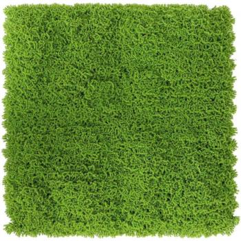 Système d’herbe synthétique 100 × 100 cm, couleur verte – Pack de 2