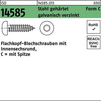 Blechschraube ISO 14585 Innensechsrund 2,9 x 13 C-T10 Stahl verzinkt 2000 Stück