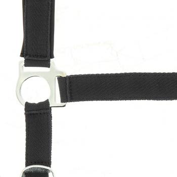 Licol en nylon NORTON, avec rembourrage néoprène Noir/Raspberry (Poney)