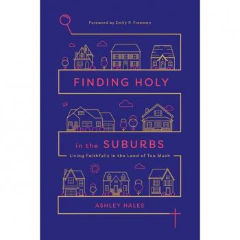 Finding Holy in the Suburbs: Living Faithfully in the Land of Too Much