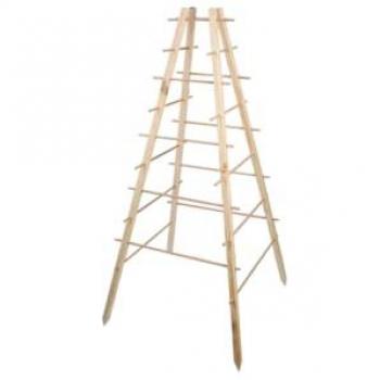 Base Pino Estilo Pirámide