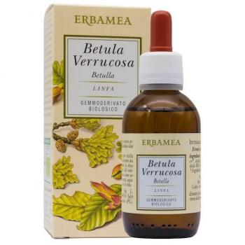 Betula Verrucosa Linfa Gemmoderivato Bio 50 ml