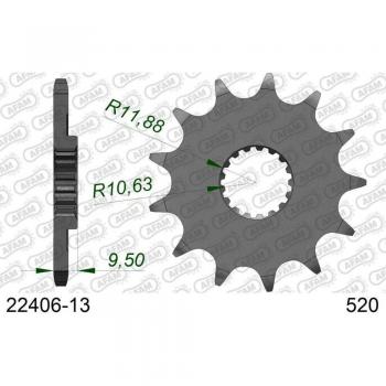 Piñón de acero para moto AFAM 22406-13