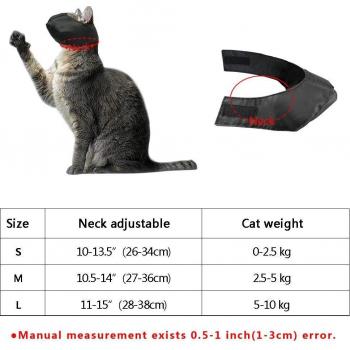Outils de toilettage pour chats
