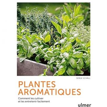 Plantes aromatiques