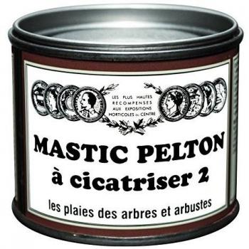 Mastic de Protection Pelton 400G