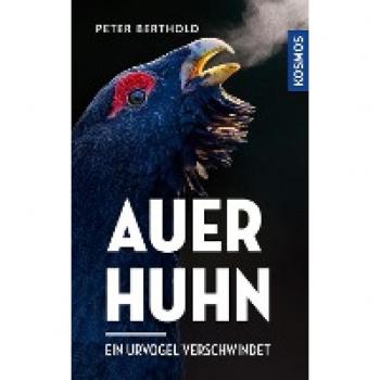Auerhuhn: Ein Urvogel verschwindet
