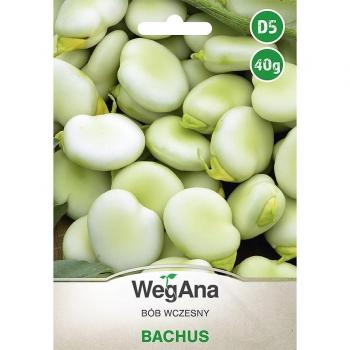 Bachus 40g Broad Bean Pack