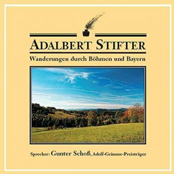 Wanderungen durch Böhmen und Bayern: Landschaftsbilder aus Das Heidedorf, Der Hochwald und Witiko