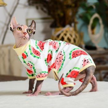 Sphynx Cat Cute Hoodie Outfit