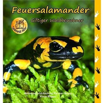 Feuersalamander: Giftiger Waldbewohneer