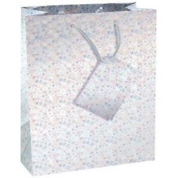 Sac cadeau holographique County Stationery (lot de 12)