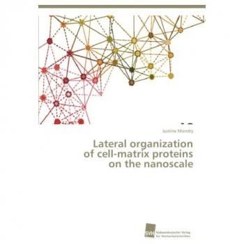 Lateral organization of cell-matrix proteins on the nanoscale