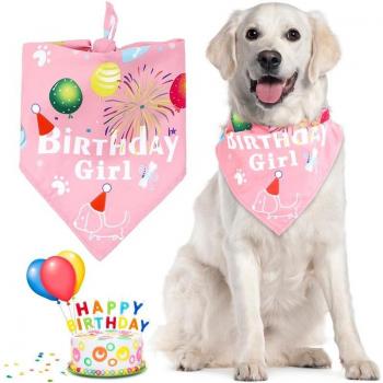 Bavoir bandana pour animaux, design mignon, 1 pièce, décoration d'anniversaire pour chiens et chats