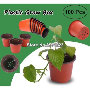 Pots de transplantation