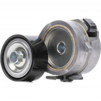 Cinghia Poly‑V Ridex 310T0407 – Rullo Tendicinghia per Corsa F e GRANDLAND X (A18)